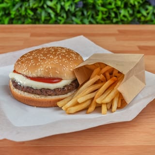 Cheese Burger plain with Fries